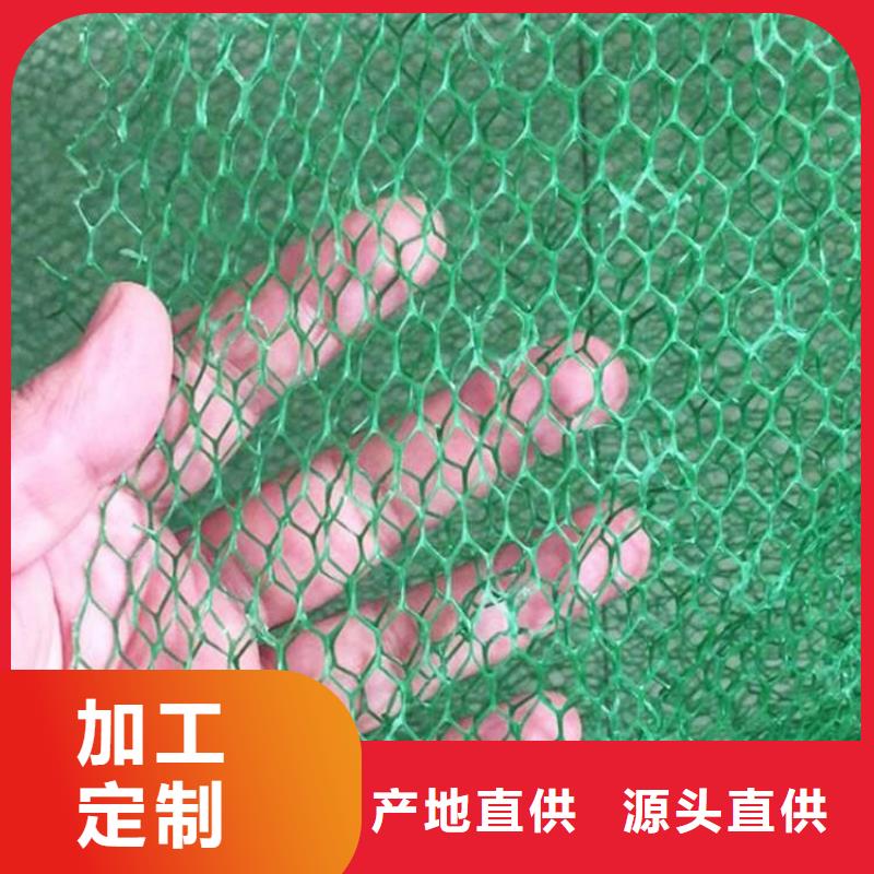 三維護坡植被網墊批發商