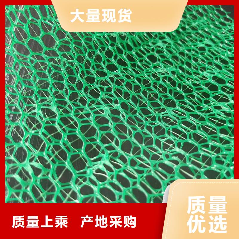 三維植被網抗裂貼源頭工廠