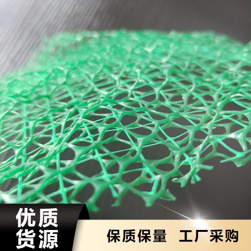 三維護坡植草網墊全國走貨
