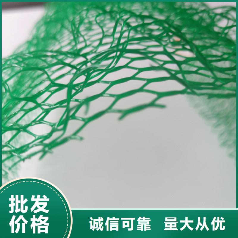 三維植草護坡網墊-EM2三維土工網墊