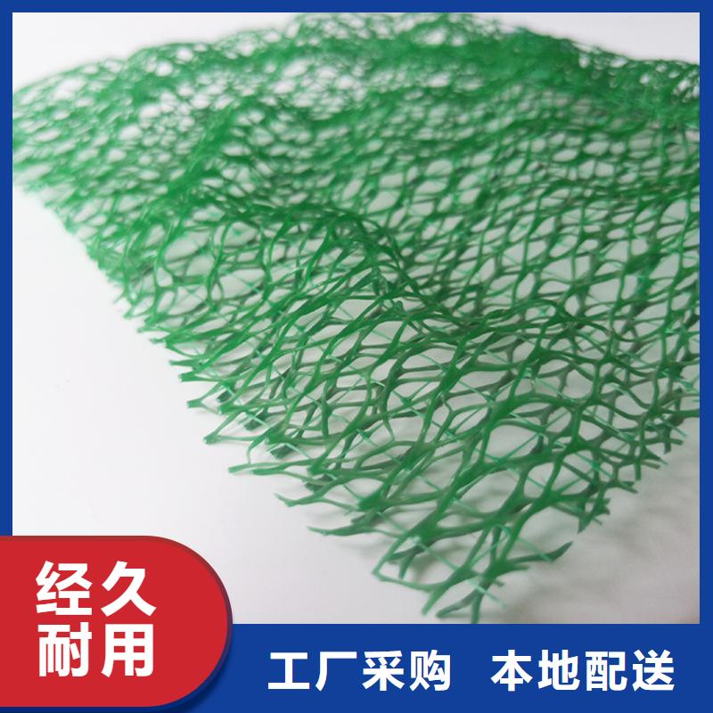 護坡加筋三維植被網