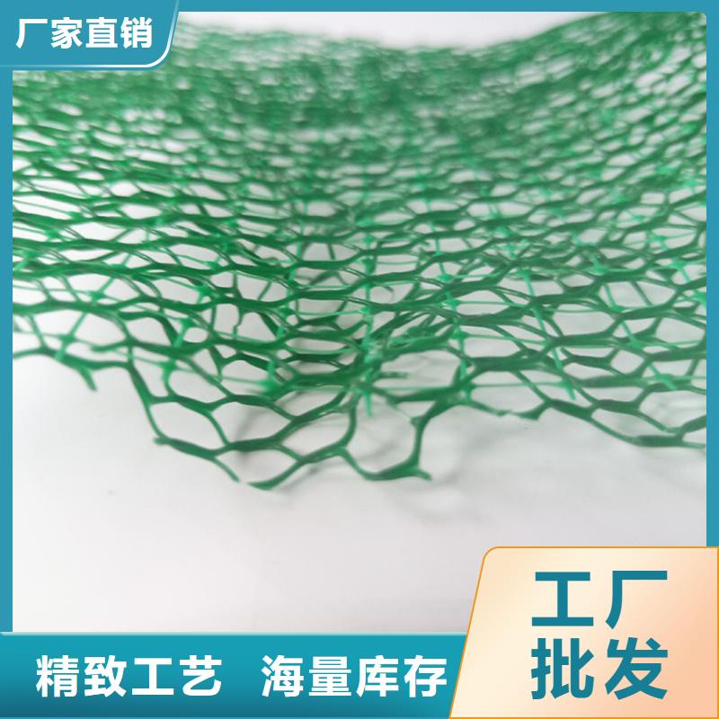 【三維植被網(wǎng)】土工布為品質(zhì)而生產(chǎn)