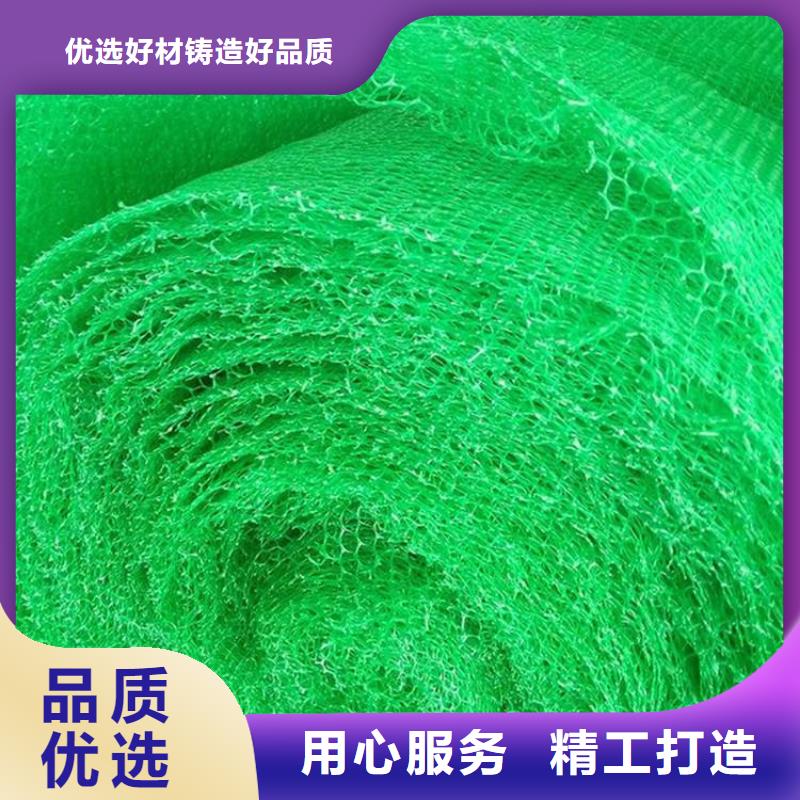 三維植被網【防裂貼】顏色尺寸款式定制