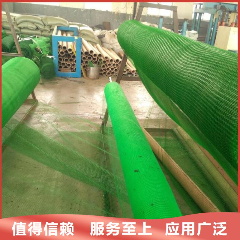 三維植被網【防裂貼】顏色尺寸款式定制