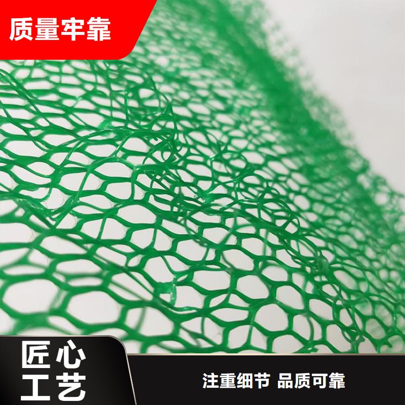 三維植草護坡網墊-EM4三維植被網