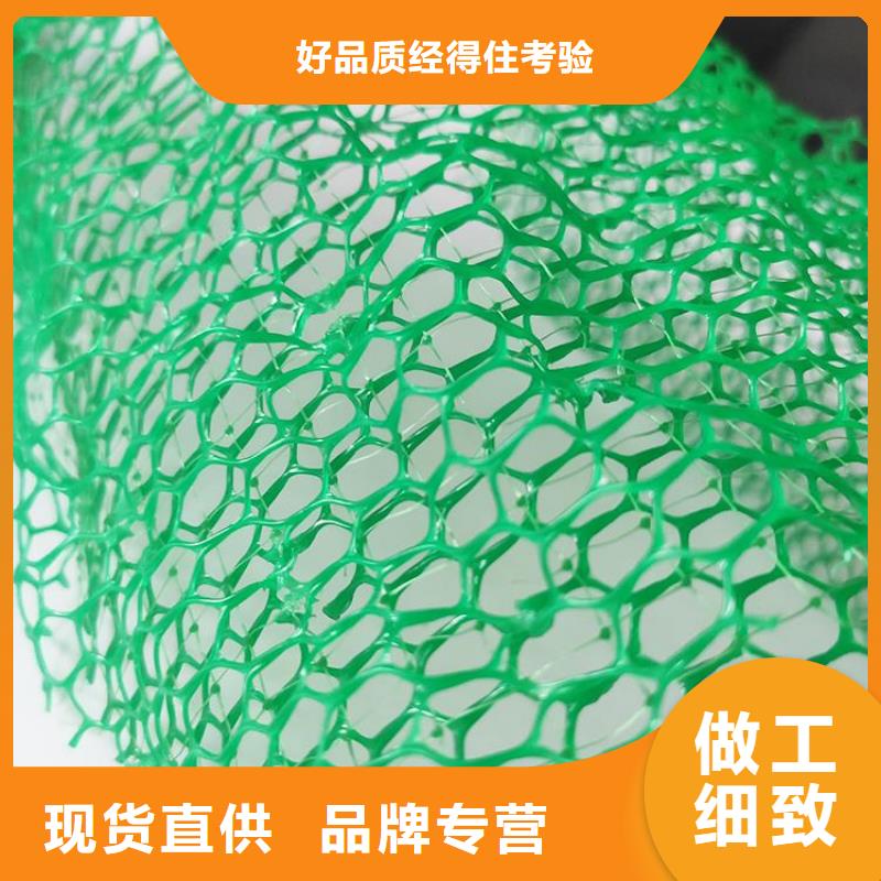 三維固土網(wǎng)墊-邊坡三維土工網(wǎng)墊廠家現(xiàn)貨