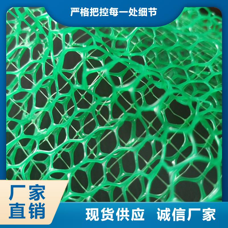 三維植被網(wǎng)土工布客戶滿意度高