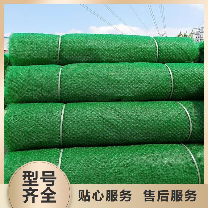 三維固土網(wǎng)墊-三維網(wǎng)植草護(hù)坡