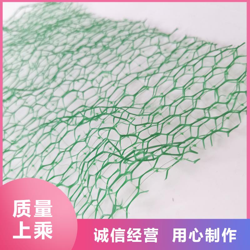 三維固土網墊采購價格