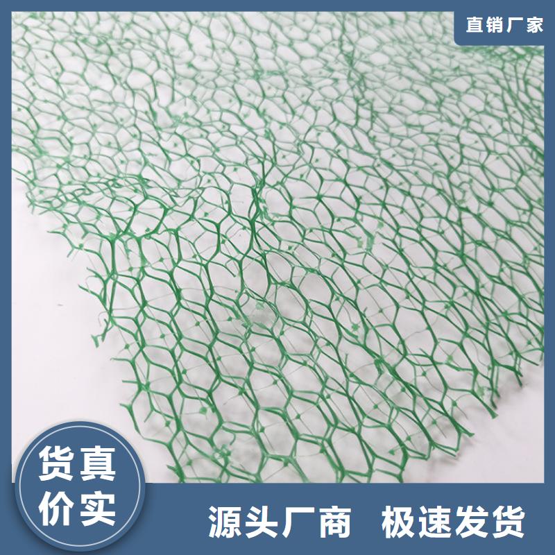 三維加筋土工網墊代理/多少錢一平