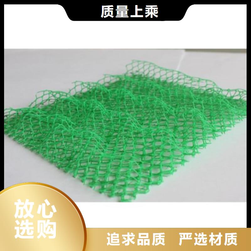 加筋護坡網墊#加筋EM2