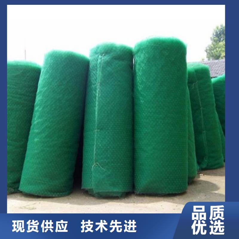 三維加筋土工網(wǎng)墊代理/多少錢一平