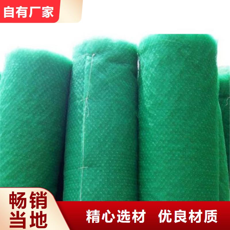 三維加筋植草網墊特點性能