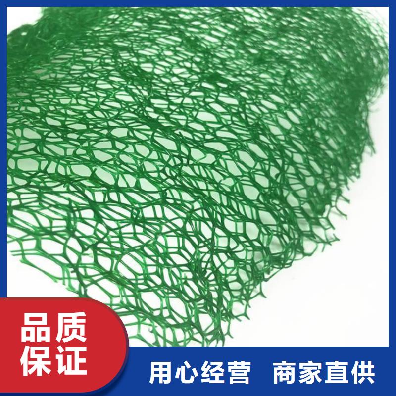固土環保加筋護坡網墊