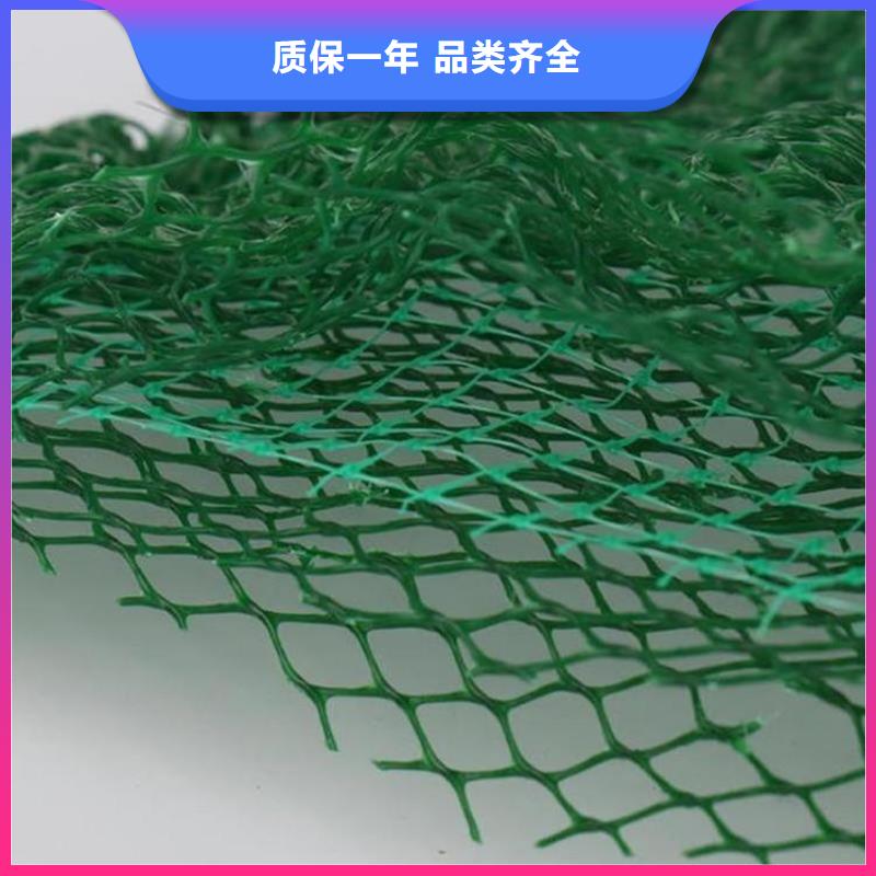 三維土工網墊#塑料邊坡