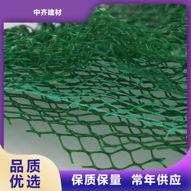 环保绿化三维植被网