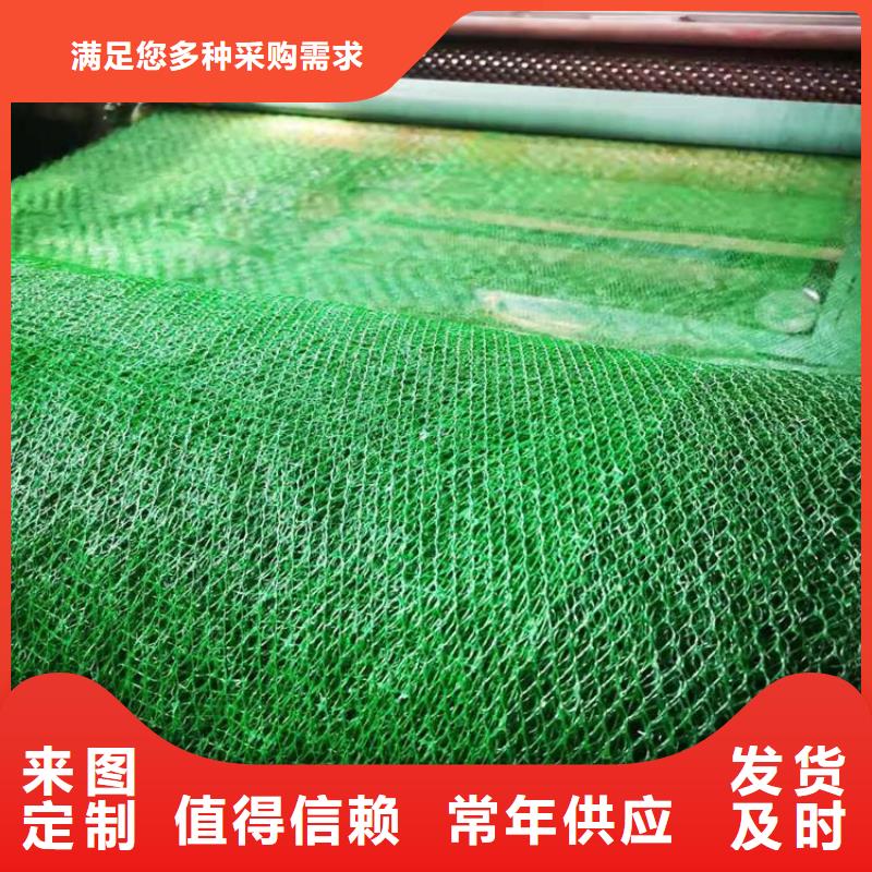三維加筋植草網墊代理經銷/多少錢一平