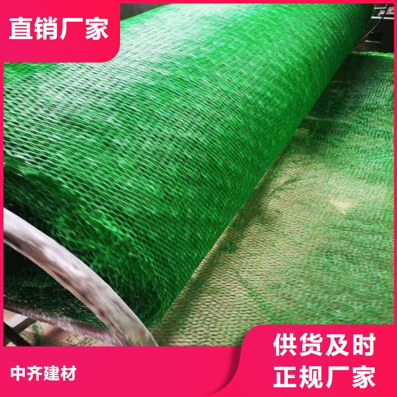 加筋護坡網墊#加筋EM2