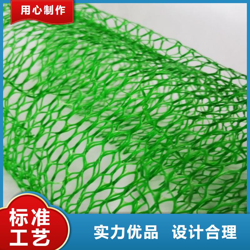 三維植草護坡網墊-EM4三維植被網