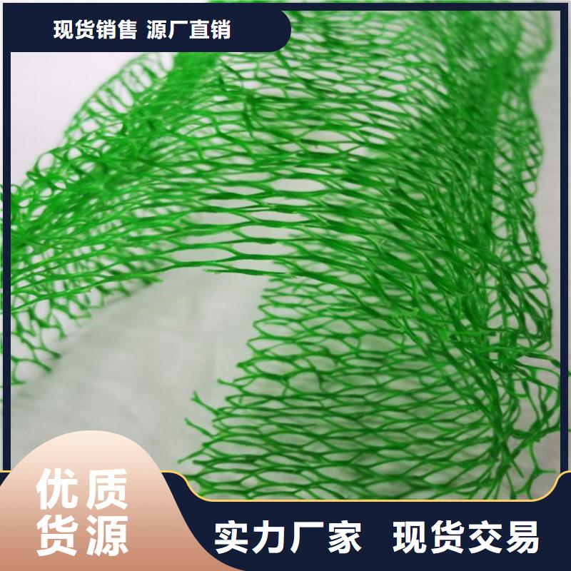 三維植被網(wǎng)-EM5三維土工網(wǎng)墊