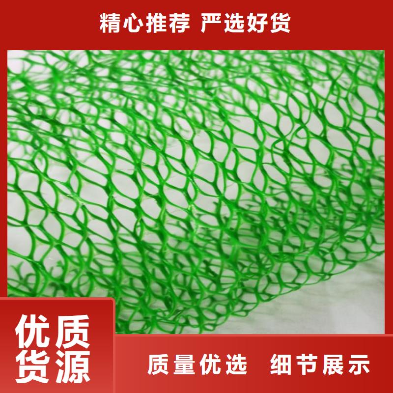 三維加筋植草網墊供應經銷