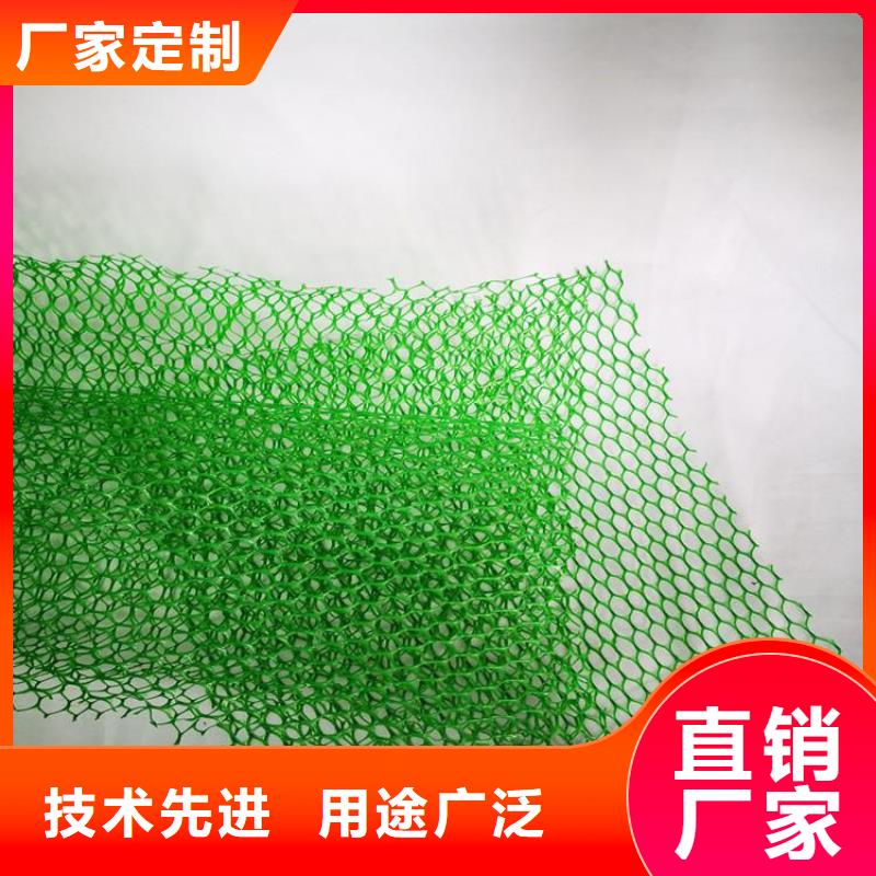 三維護坡植草網墊全國走貨