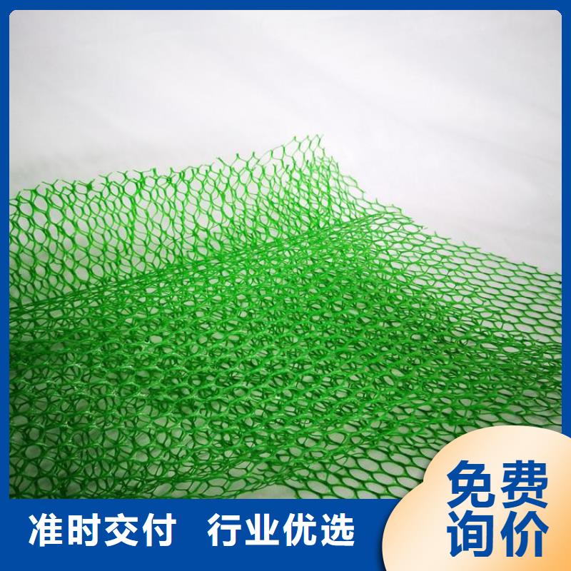 三維植草護坡網墊-EM2三維土工網墊