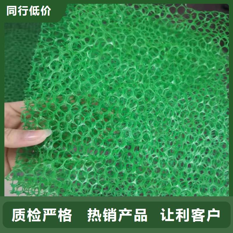 環保EM5三維土工網墊