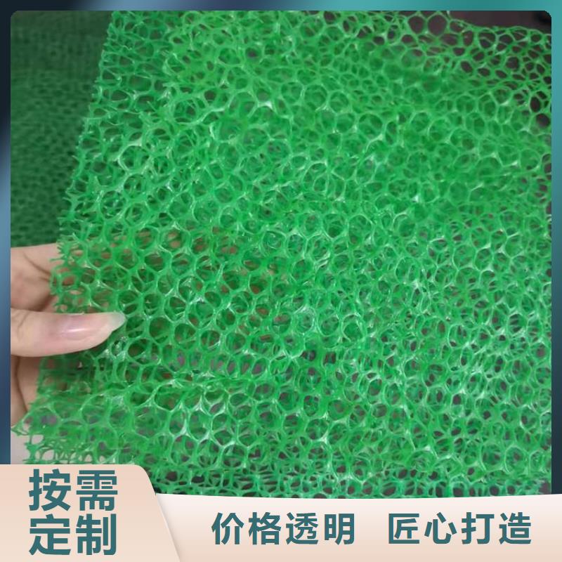 三維固土網墊采購價格