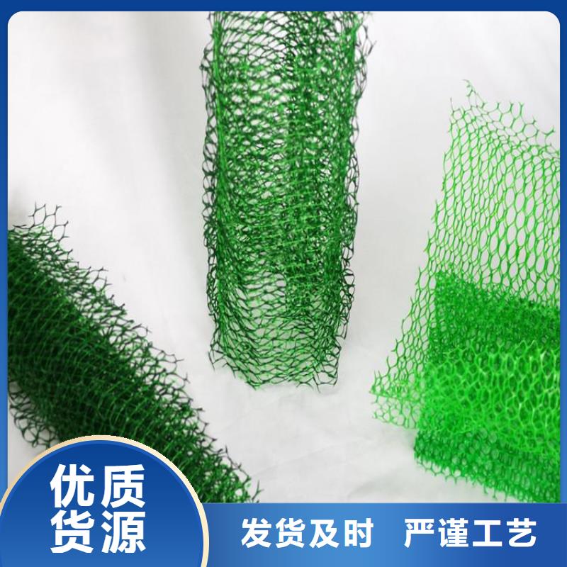 三維植被網抗裂貼源頭工廠