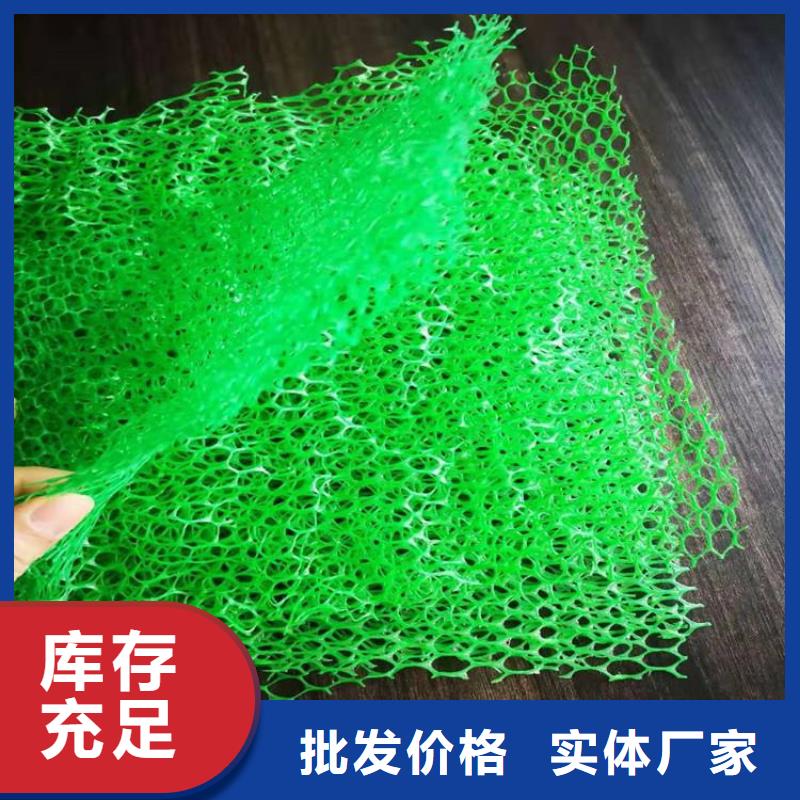 三維護(hù)坡植被網(wǎng)墊#護(hù)坡EM2