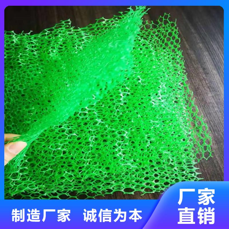 三維加筋土工網墊#草皮塑料