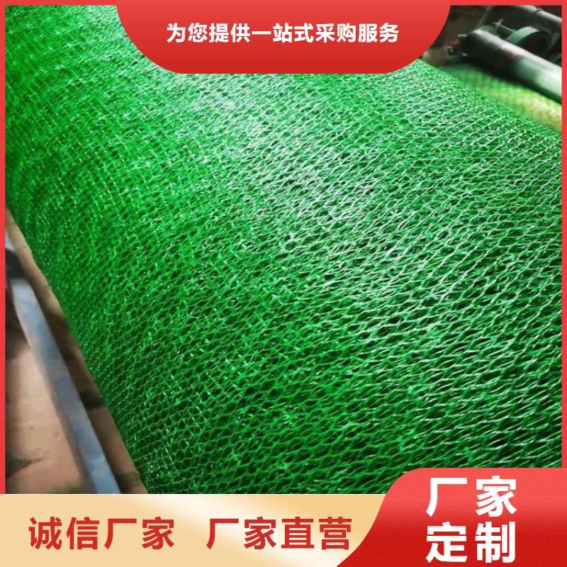 三維護坡植草網墊