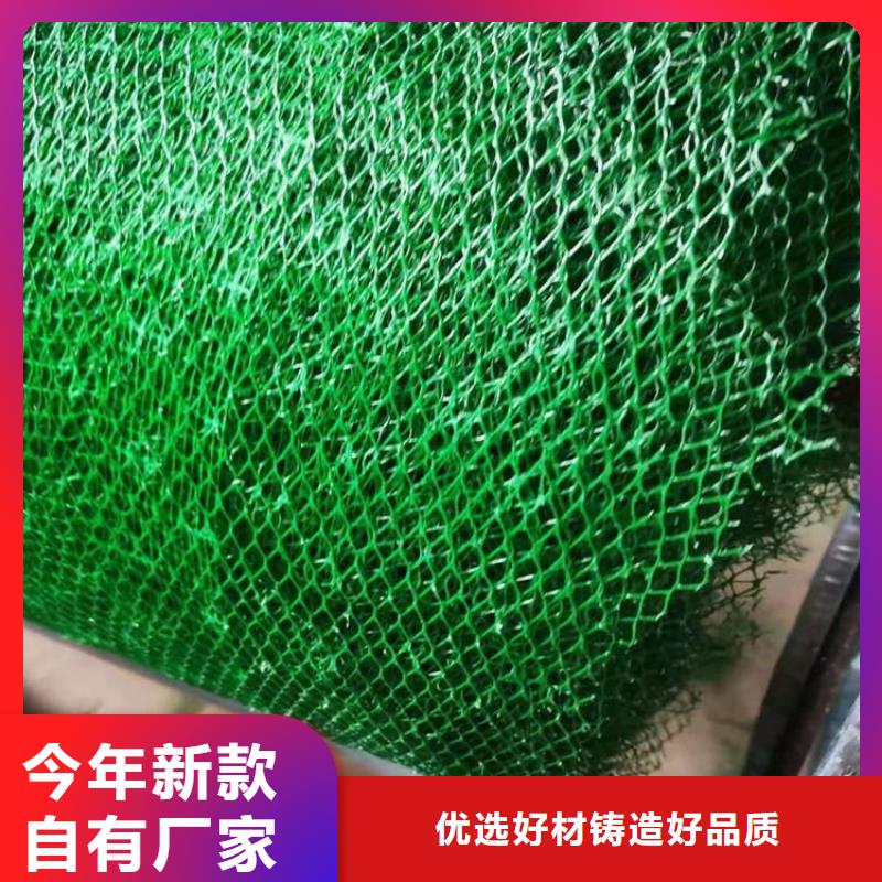 三維護坡植被網墊#護坡EM3