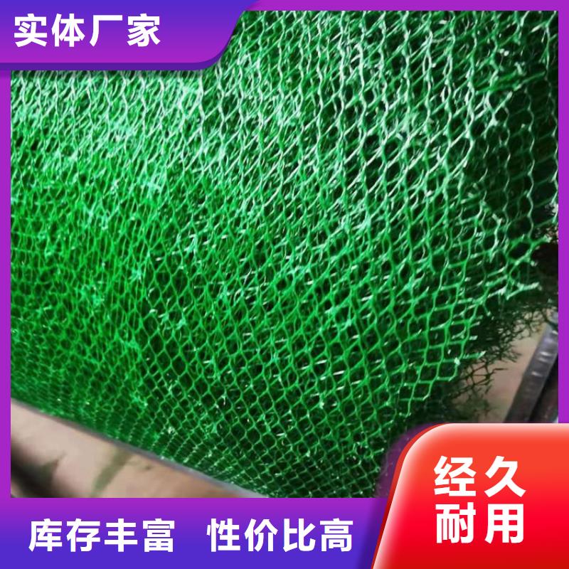 三維植被網(wǎng)土工布客戶滿意度高