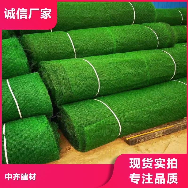 三維加筋土工網墊廠家資訊