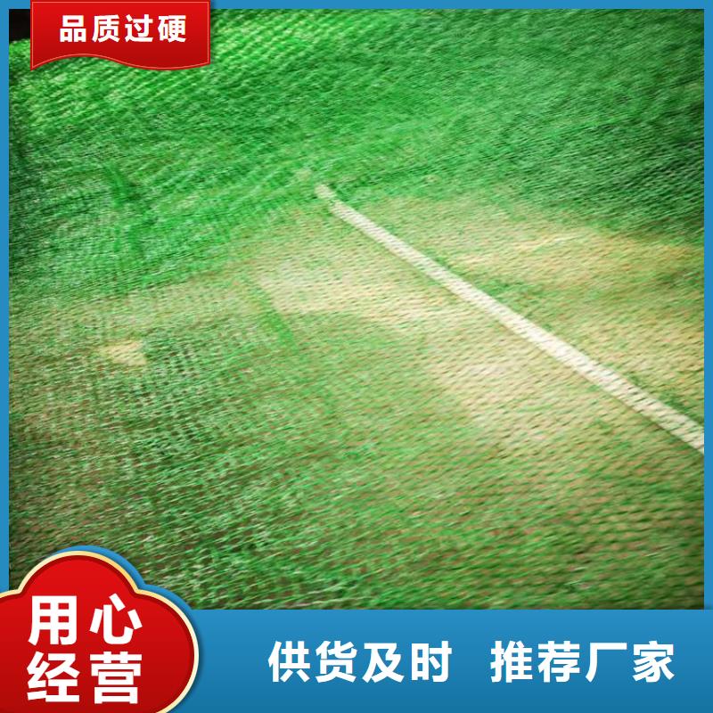 三維土工網(wǎng)墊#草皮固土