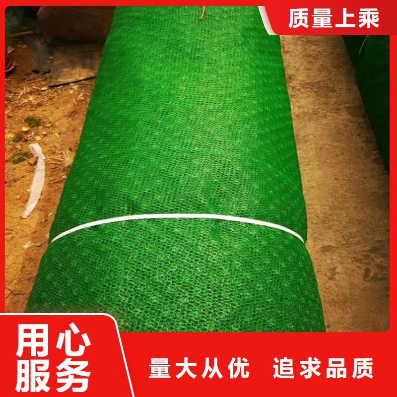 三維護坡植草網墊