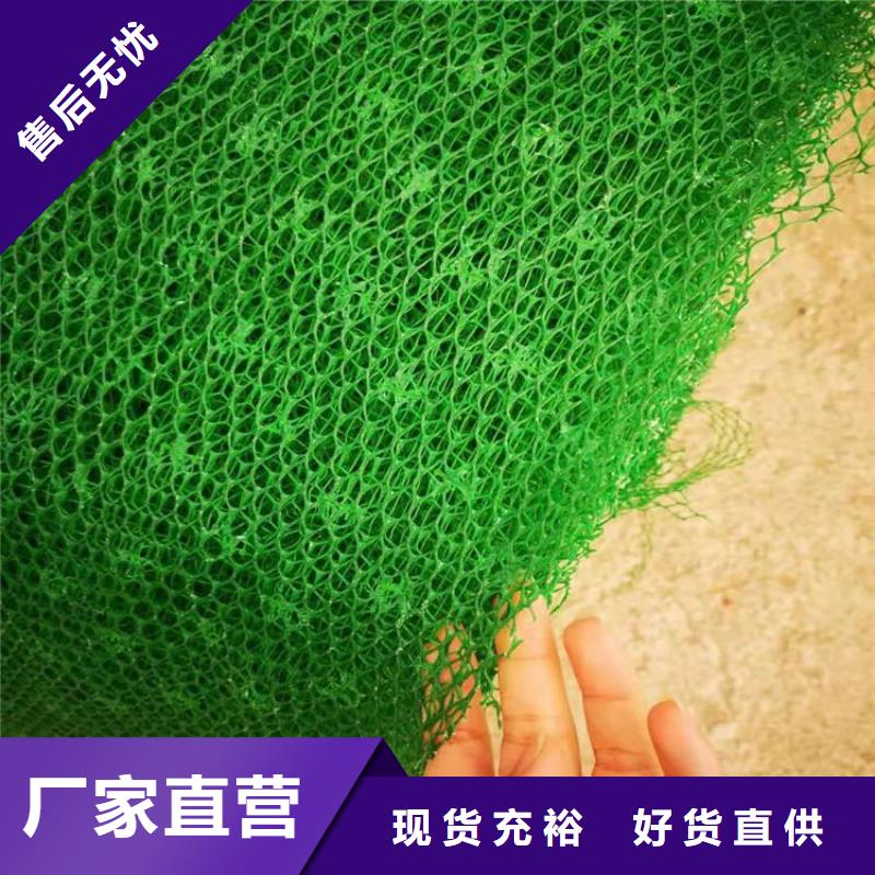 三维护坡植被网垫货真价实
