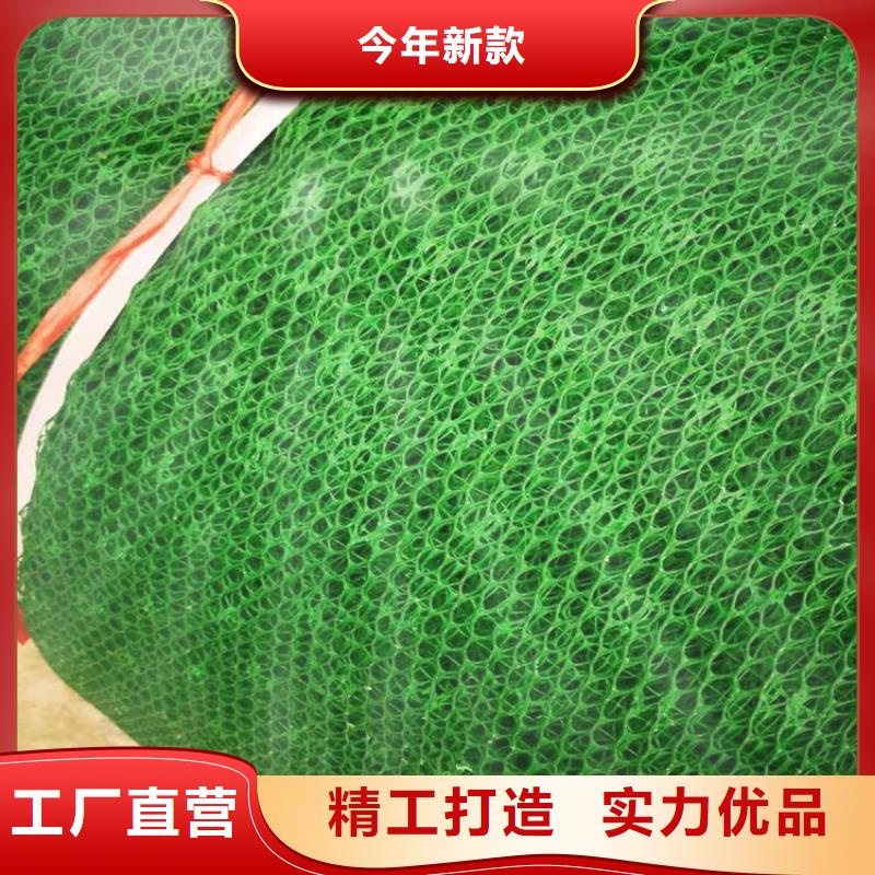 三維土工網(wǎng)墊-4層5層三維植被網(wǎng)