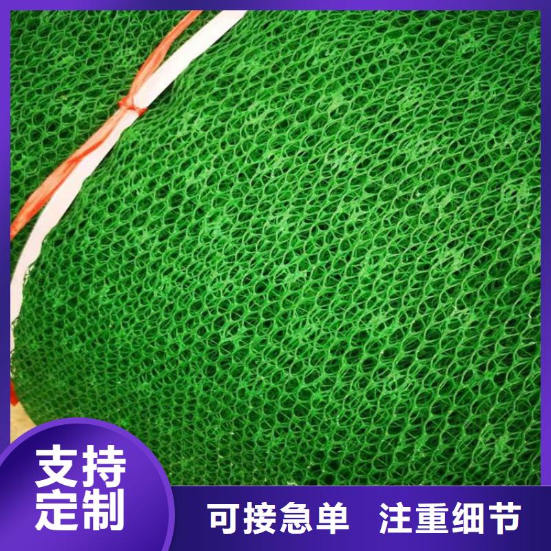 三維固土網墊-加筋三維土工網墊