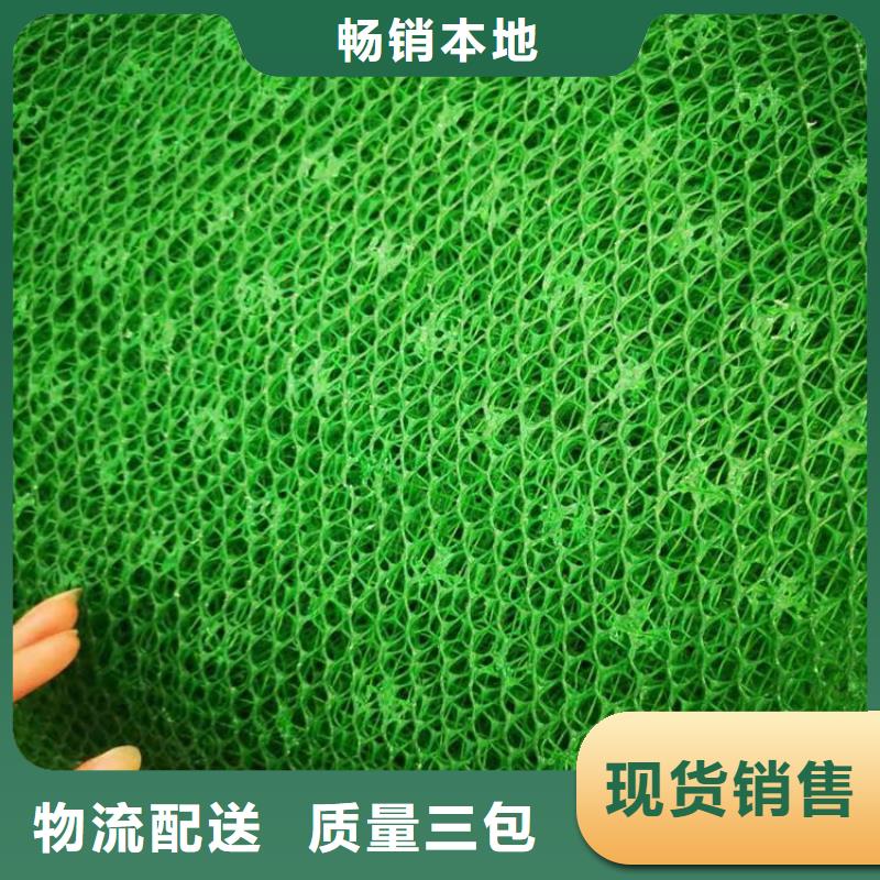三維加筋植草網墊特點性能
