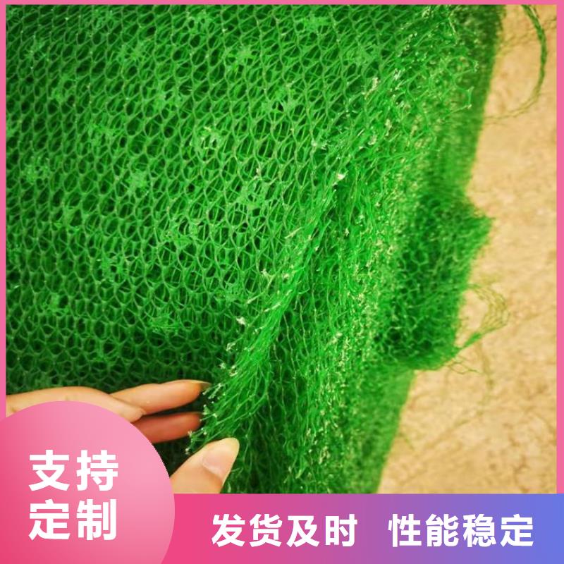 三維植草護坡網墊-EM4三維植被網