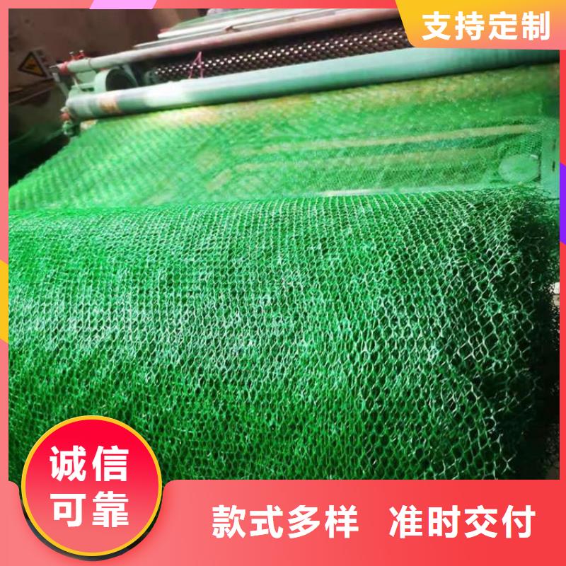 三維土工網(wǎng)墊-護坡三維土工網(wǎng)墊層層檢測