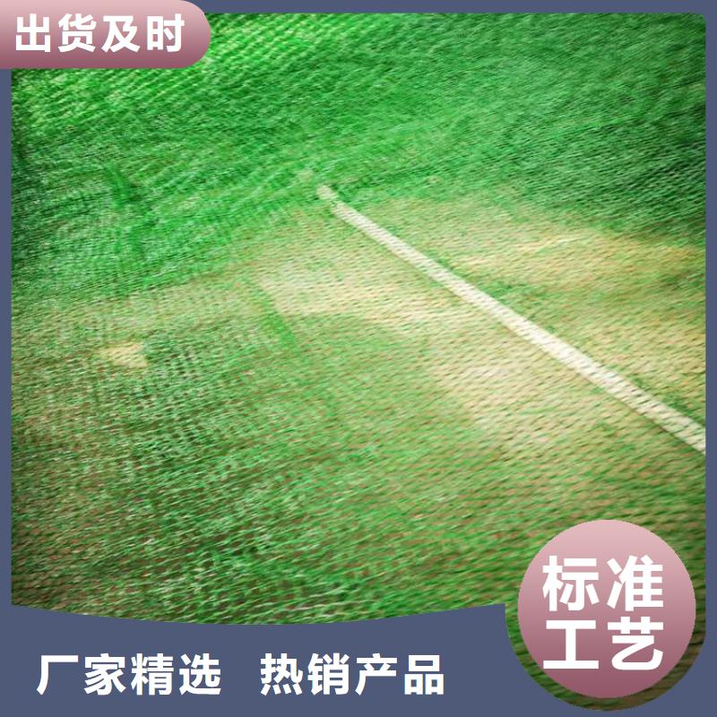 三維植被網防水毯定制批發