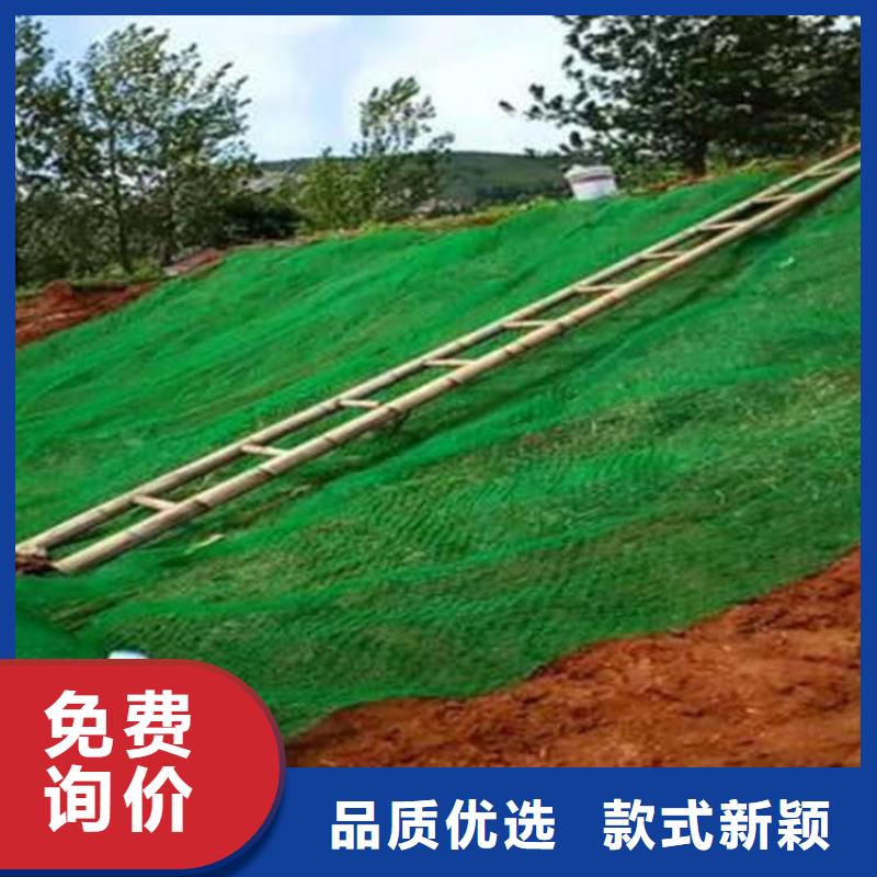 三維護(hù)坡植草網(wǎng)墊歡迎電詢