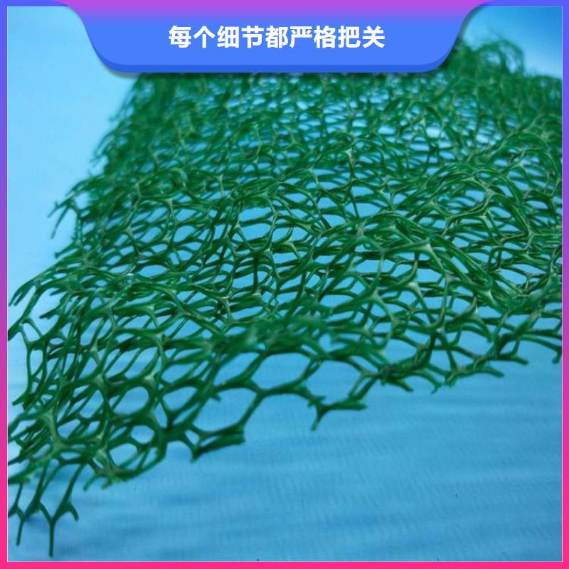三維固土網(wǎng)墊-三維網(wǎng)植草護(hù)坡