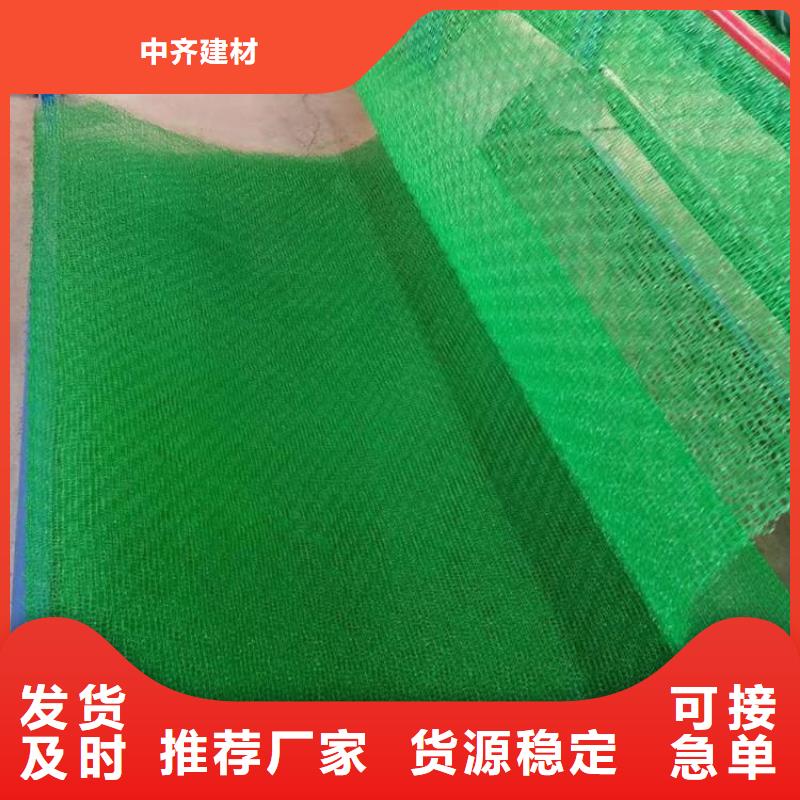 三維固土網墊-土工網墊