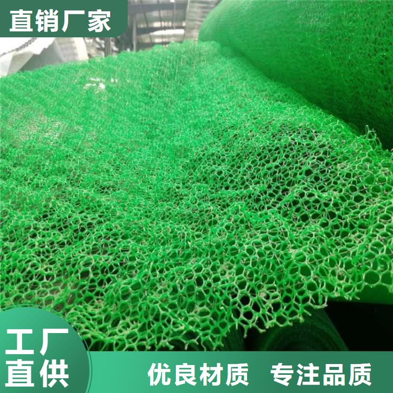 三维护坡植被网垫货真价实