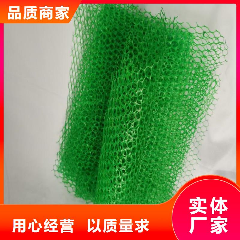 三維植被網【防裂貼】顏色尺寸款式定制